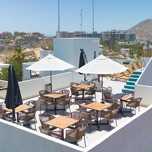 Hotel Colmena Marina Cabos Cabo San Lucas