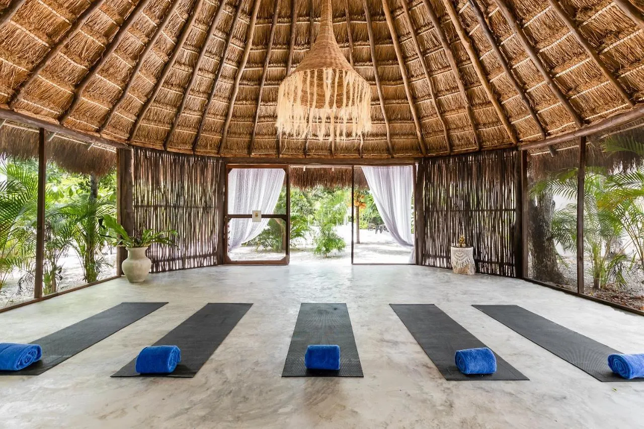 Jungle Lodge Boutique Hotel - Adults Only Chemuyil メキシコ