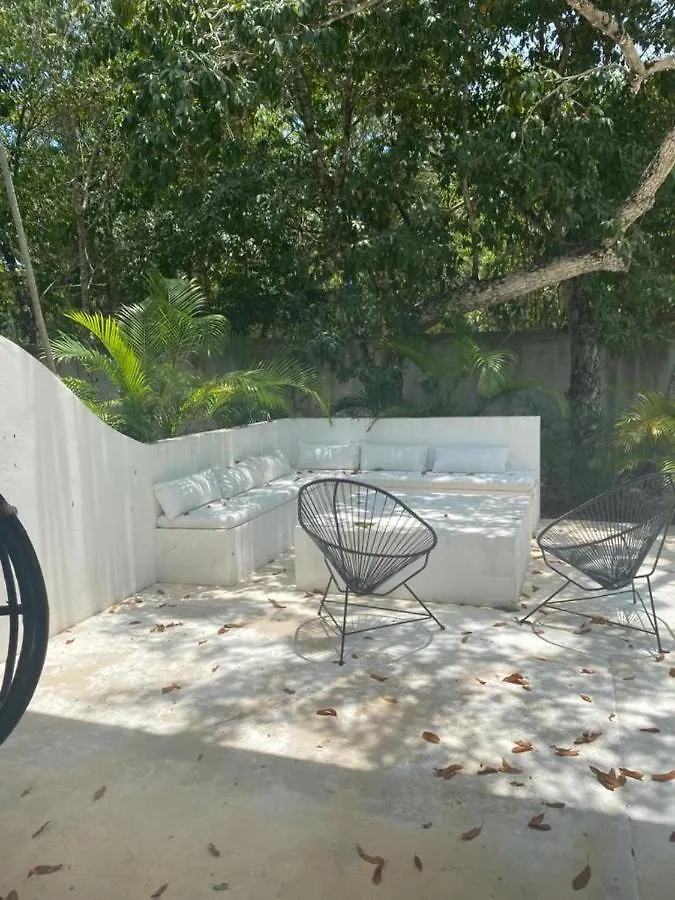 Jungle Lodge Boutique Hotel - Adults Only Chemuyil