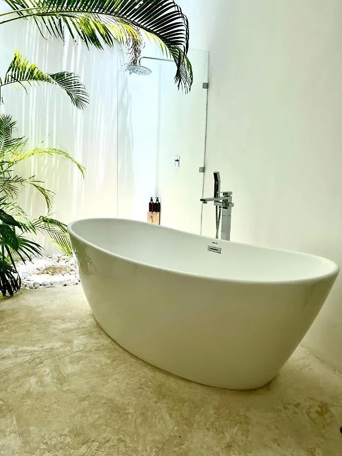 Jungle Lodge Boutique Hotel - Adults Only Chemuyil 5*,  メキシコ