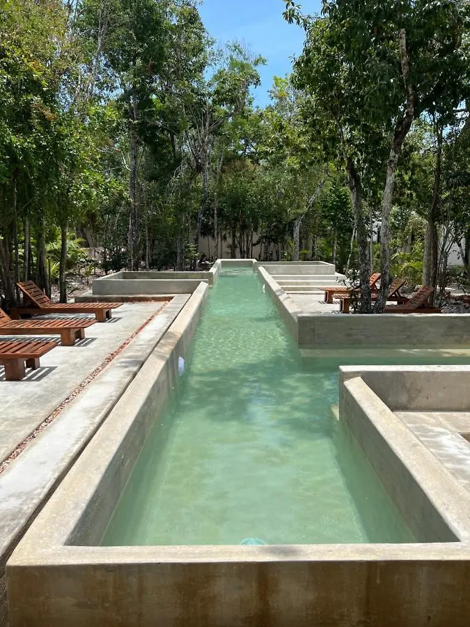Jungle Lodge Boutique Hotel - Adults Only Chemuyil メキシコ